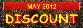 Discount - 1st May 2013